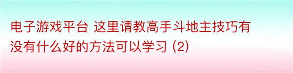 电子游戏平台 这里请教高手斗地主技巧有没有什么好的方法可以学习 (2)