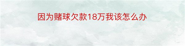 因为赌球欠款18万我该怎么办