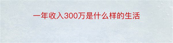 一年收入300万是什么样的生活