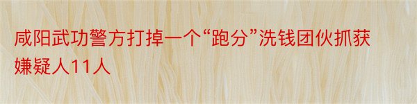 咸阳武功警方打掉一个“跑分”洗钱团伙抓获嫌疑人11人